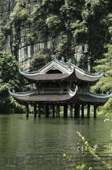 巴西对日本足球比分-绿茵烽火，巴西与日本足球交锋的比分背后故事