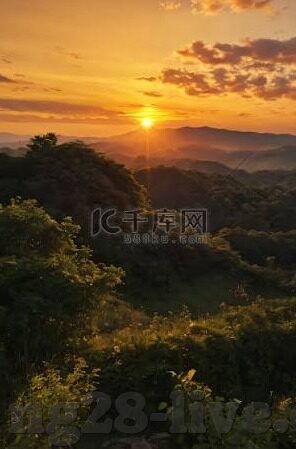 环球网比分足球比分直播-环球网比分，足球比分直播——球迷的实时观赛指南