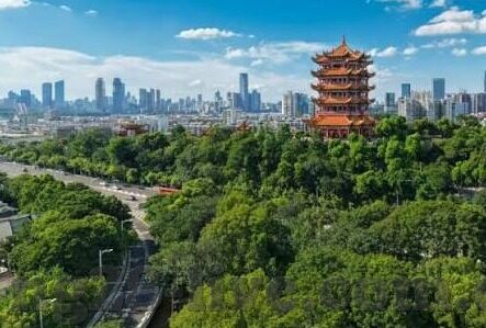 买足球比分彩票-买足球比分彩票，一场充满诱惑与风险的博弈