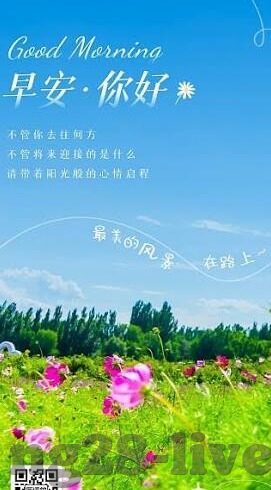 足球比分3-足球比分3，数字背后的激情与故事
