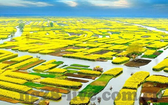 足球比分433-解密足球433阵型，攻防转换的艺术与战术密码