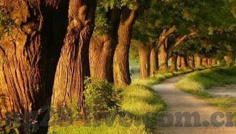 足球比分90大-足球比分90大，绿茵场上的数字狂欢与战术博弈