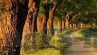 足球比分直播丶一-足球比分直播，一触即发的绿茵激情与实时信息盛宴